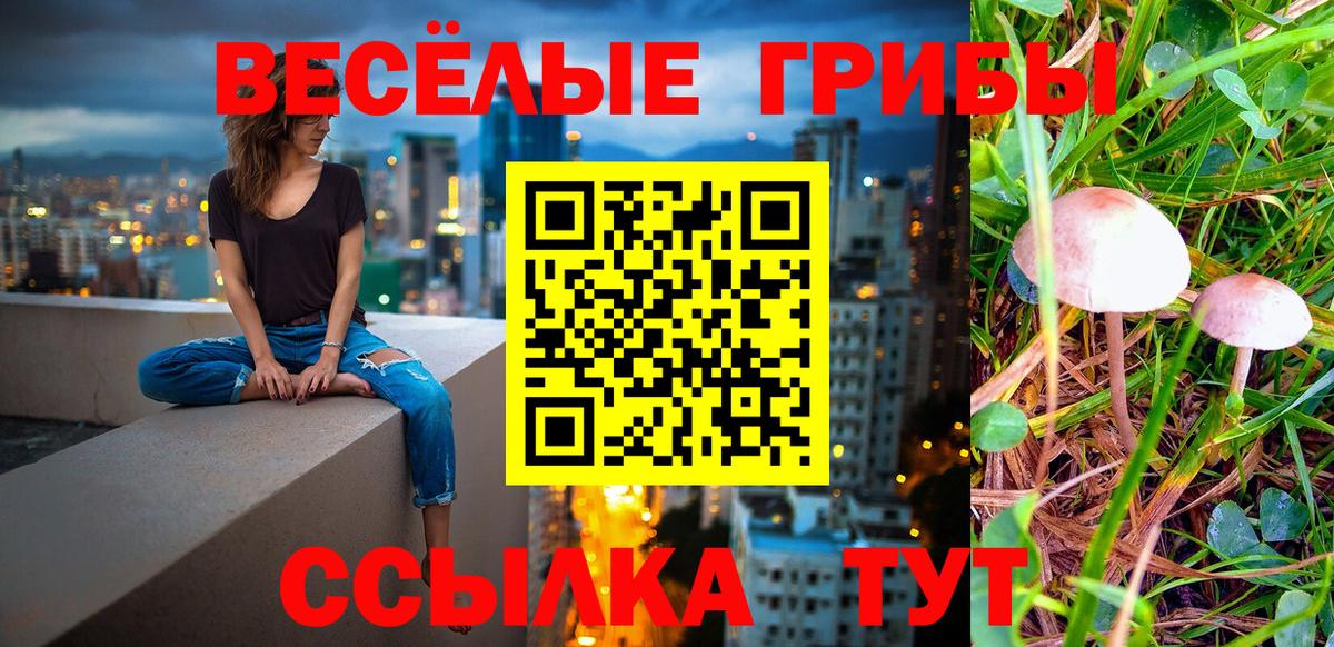 Псилоцибиновые грибы Cubensis  Вход с VPN  Галлюциногенные грибы GOLDEN TEACHER  как найти наркотики  Майский 