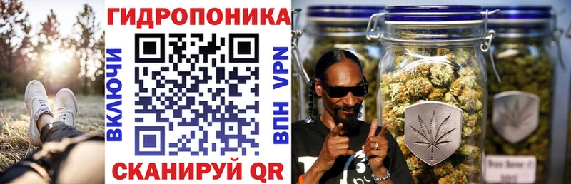 Канабис индика купить наркотики цена Майский